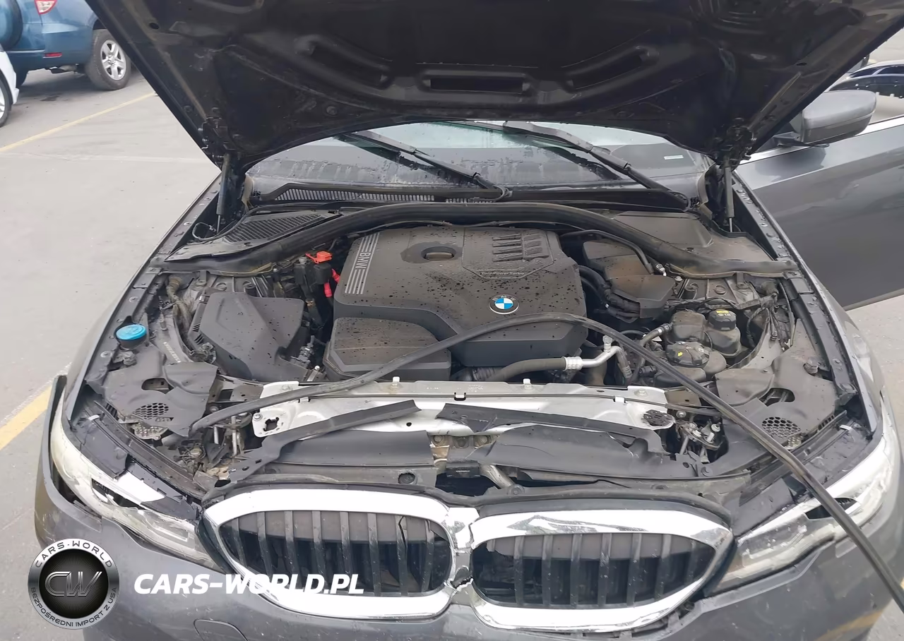 2020 BMW 330I VIN:3MW5R1J08L8B08194 - 10