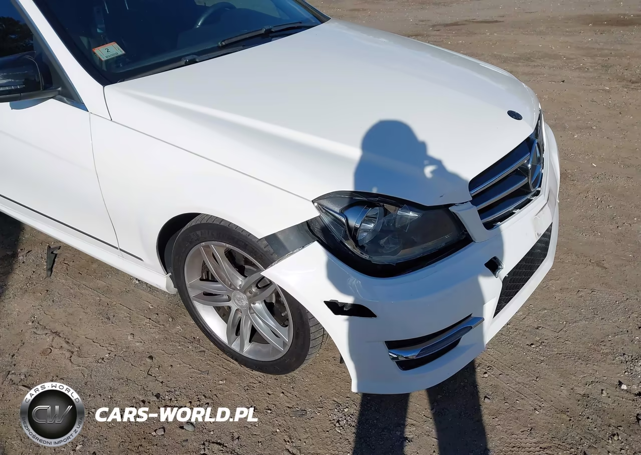2014 Mercedes-Benz C 300 Sport 4Matic VIN:WDDGF8AB0EA933772 - 17