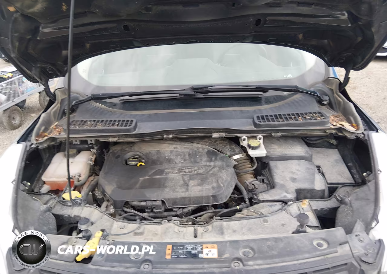 2014 Ford Escape Se VIN:1FMCU0GX9EUC59733 - 10