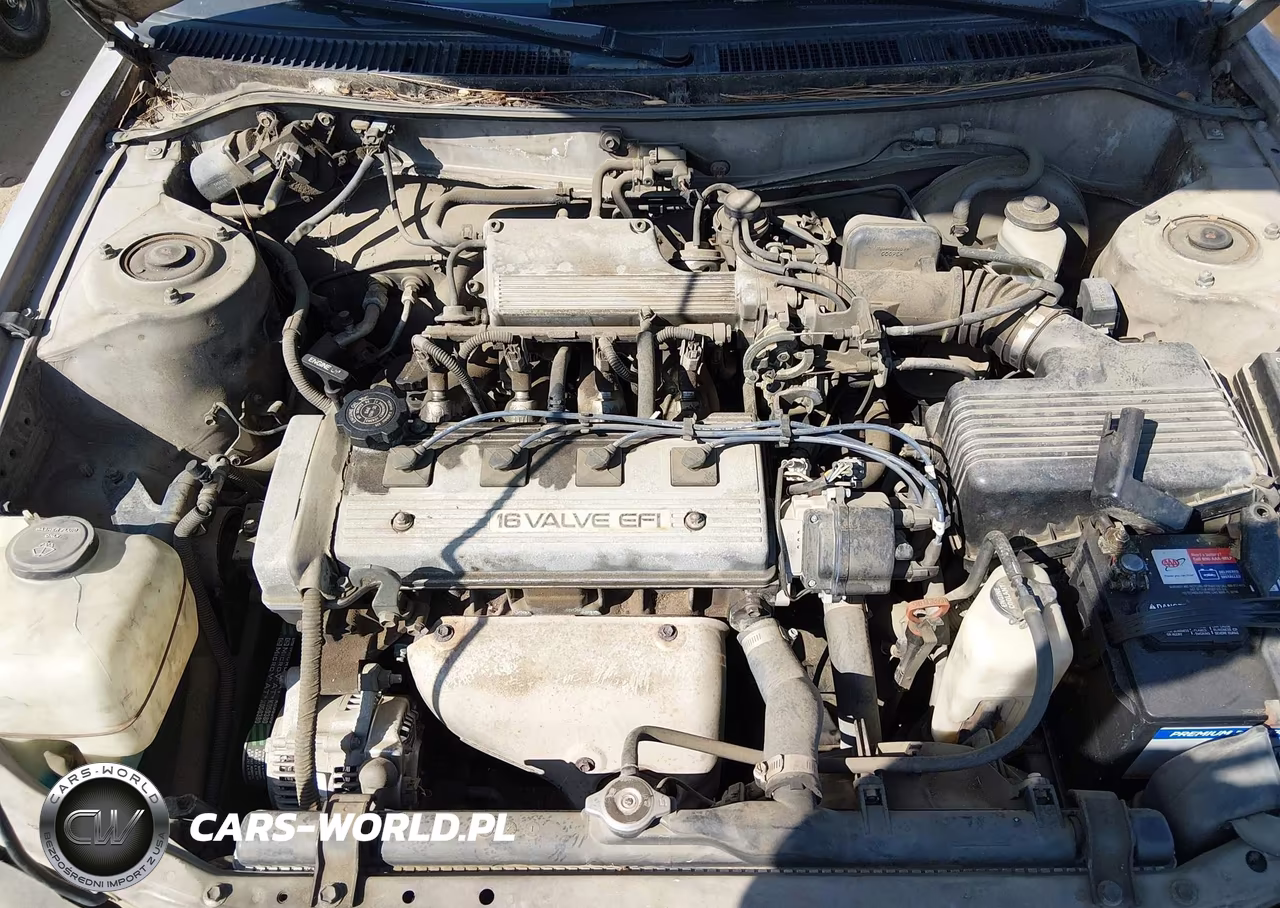 1993 Toyota Corolla Le-Dx VIN:1NXAE09E9PZ097699 - 10