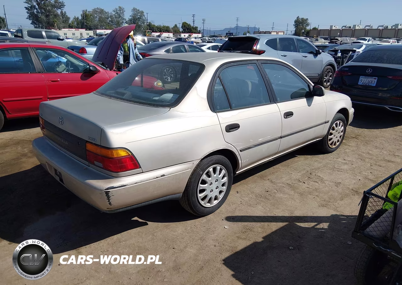 1993 Toyota Corolla Le-Dx VIN:1NXAE09E9PZ097699 - 4