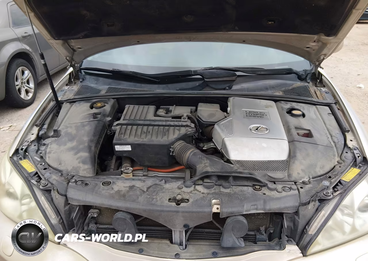 2007 Lexus Rx 400H VIN:JTJHW31U572030062 - 10