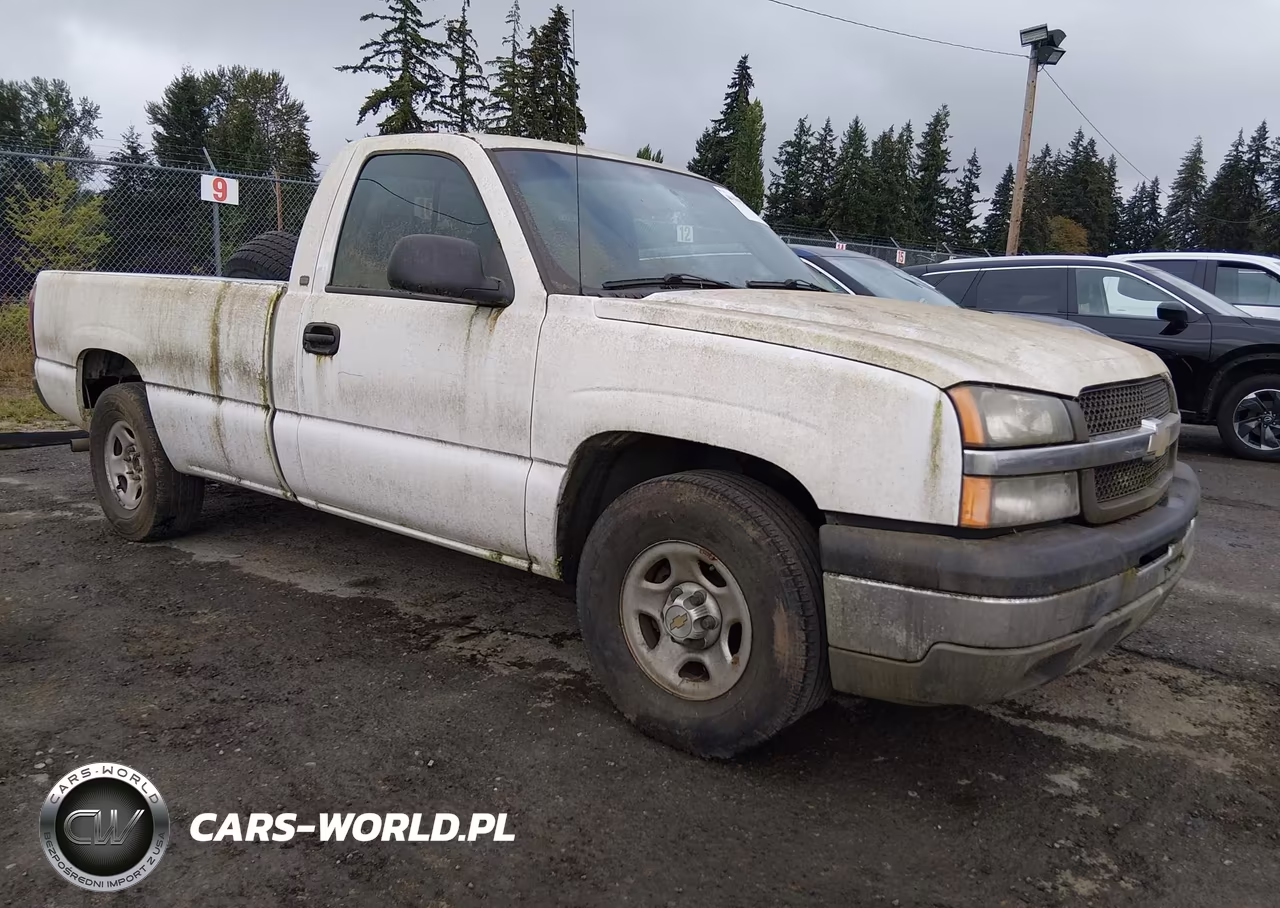 2004 Chevrolet Silverado 1500 Work Truck