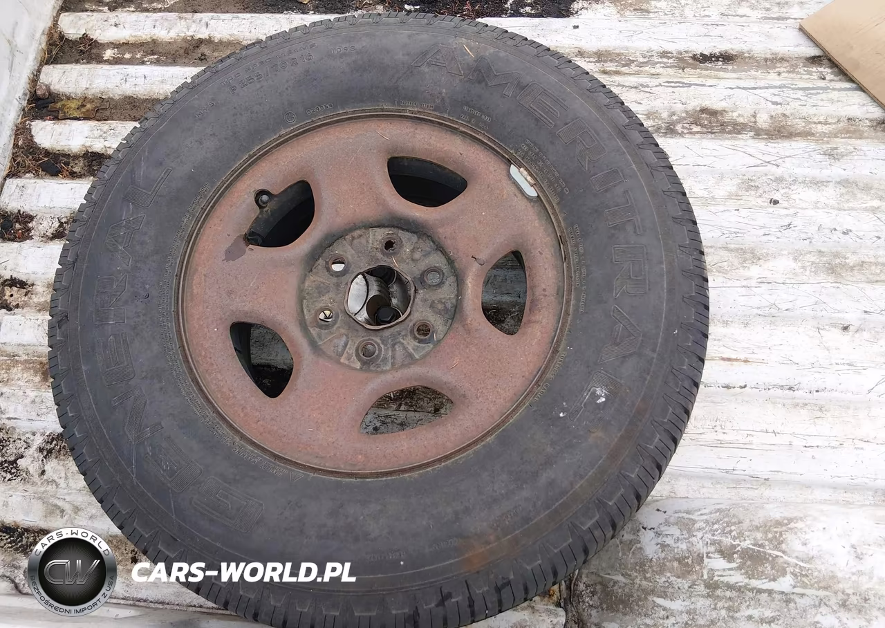 2004 Chevrolet Silverado 1500 Work Truck VIN:1GCEC14VX4E136637 - 12
