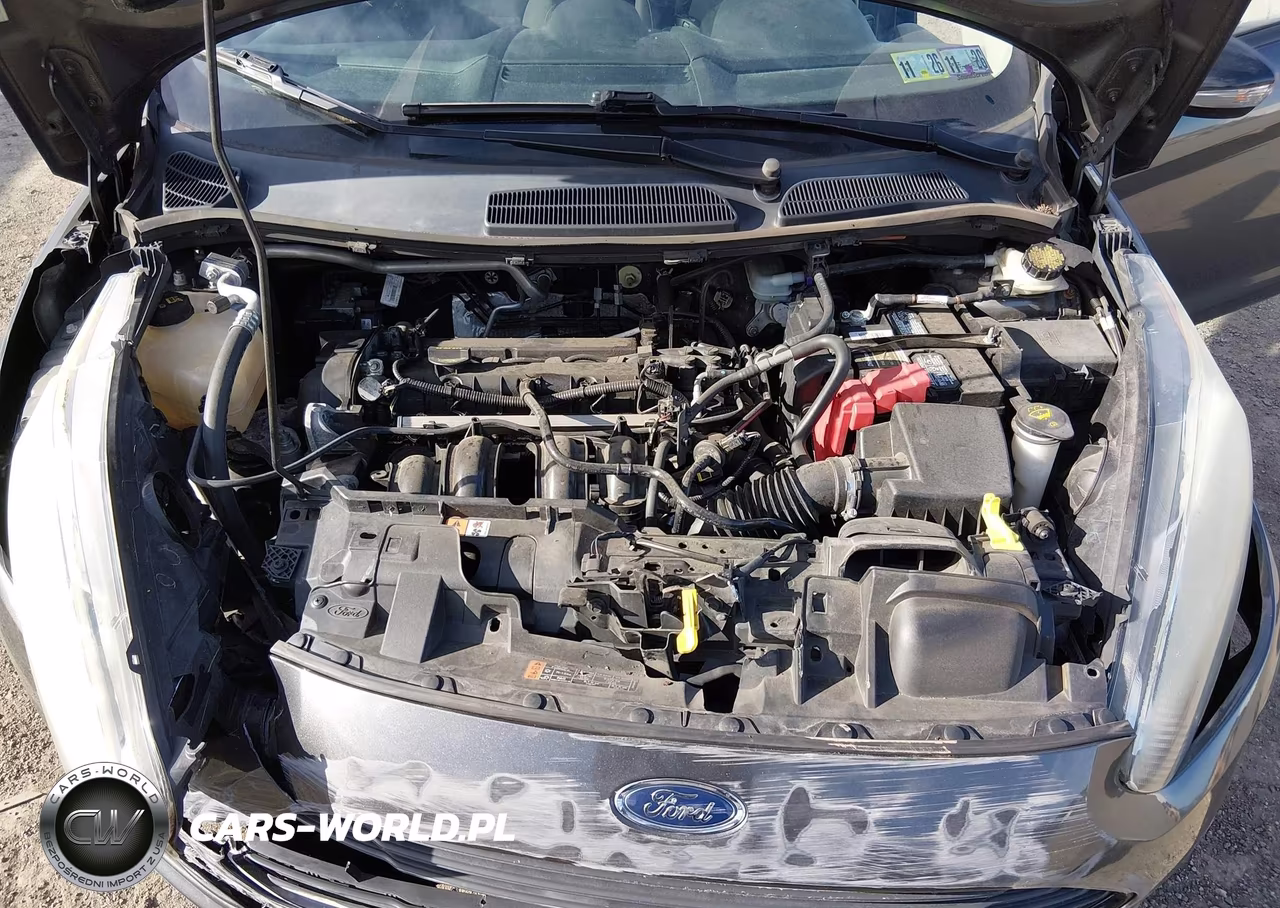2016 Ford Fiesta Se VIN:3FADP4EJ7GM118288 - 10