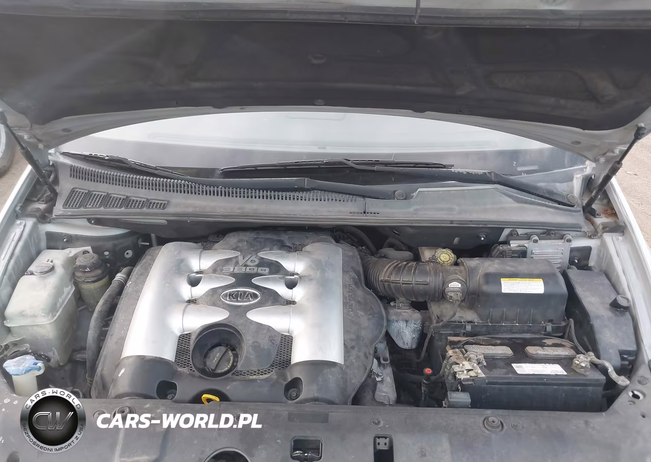 2006 Kia Sedona Ex-Lx VIN:KNDMB233166096997 - 10