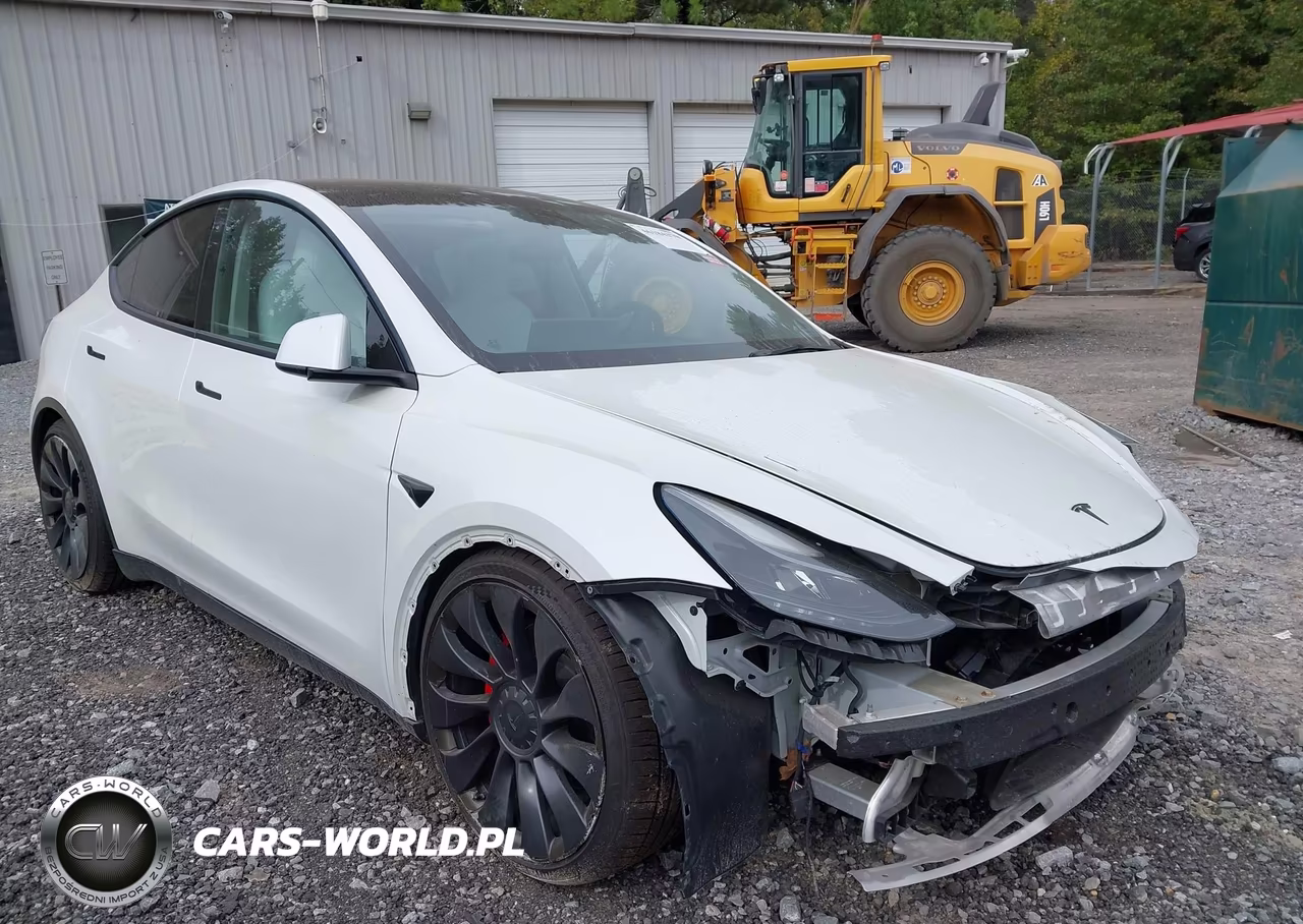 2023 Tesla Model Y Performance Dual Motor All-Wheel Drive VIN:7SAYGDEF5PF751970 - 20