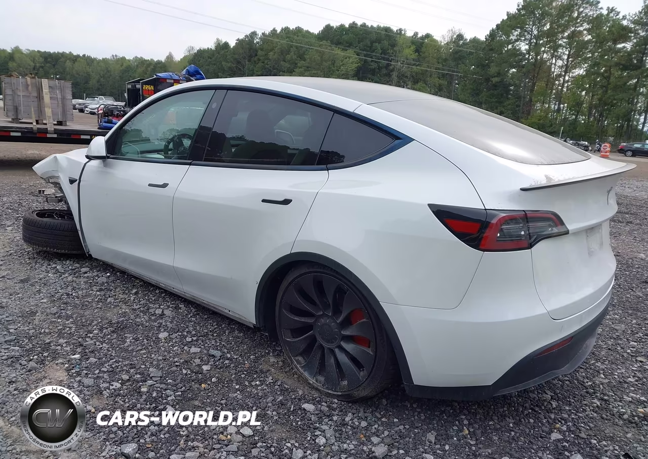 2023 Tesla Model Y Performance Dual Motor All-Wheel Drive VIN:7SAYGDEF5PF751970 - 3