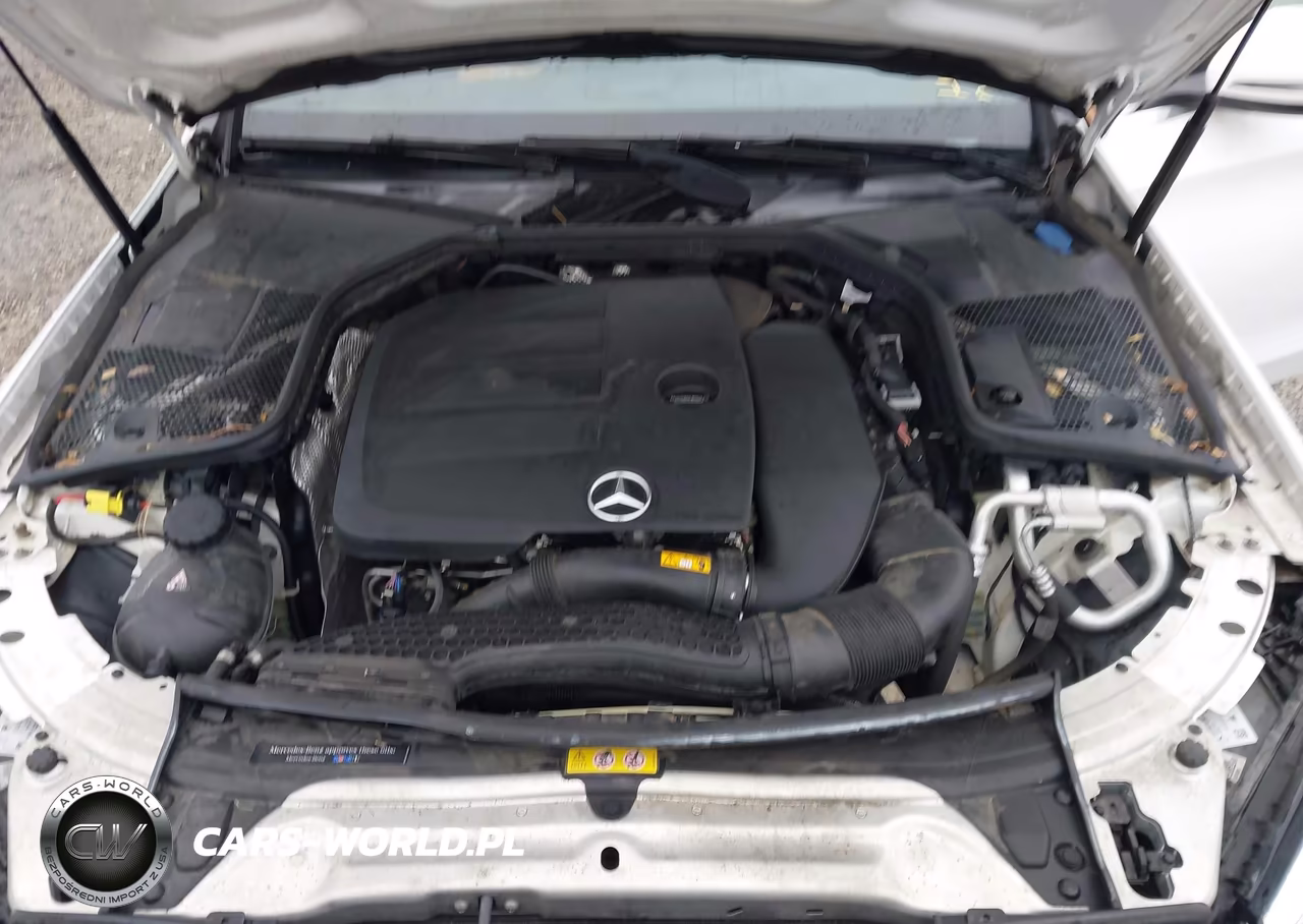 2019 Mercedes-Benz C 300 4Matic VIN:55SWF8EB6KU320184 - 10