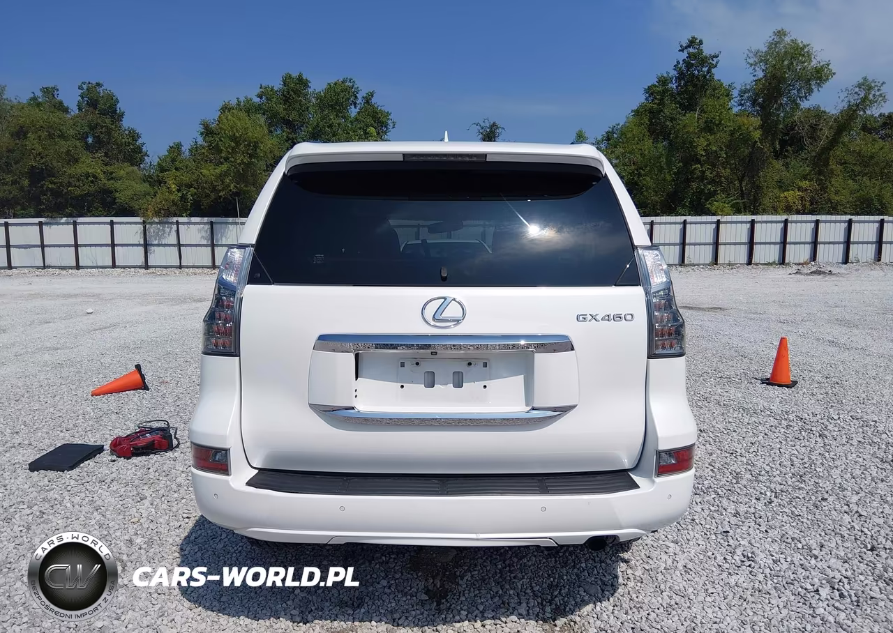 2018 Lexus Gx 460 VIN:JTJBM7FX6J5182119 - 16