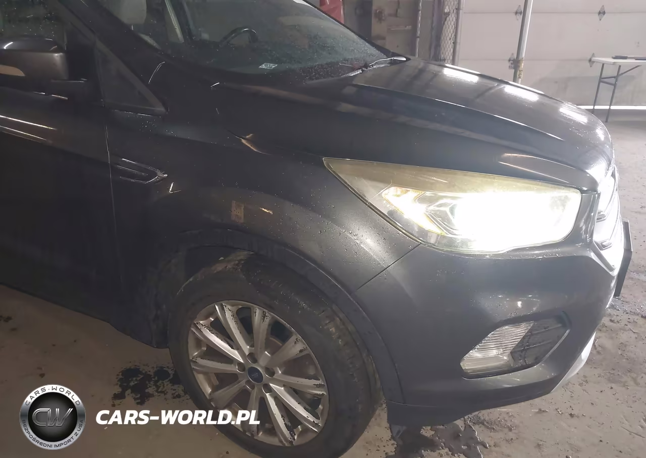 2017 Ford Escape Titanium VIN:1FMCU9JD8HUE00427 - 12