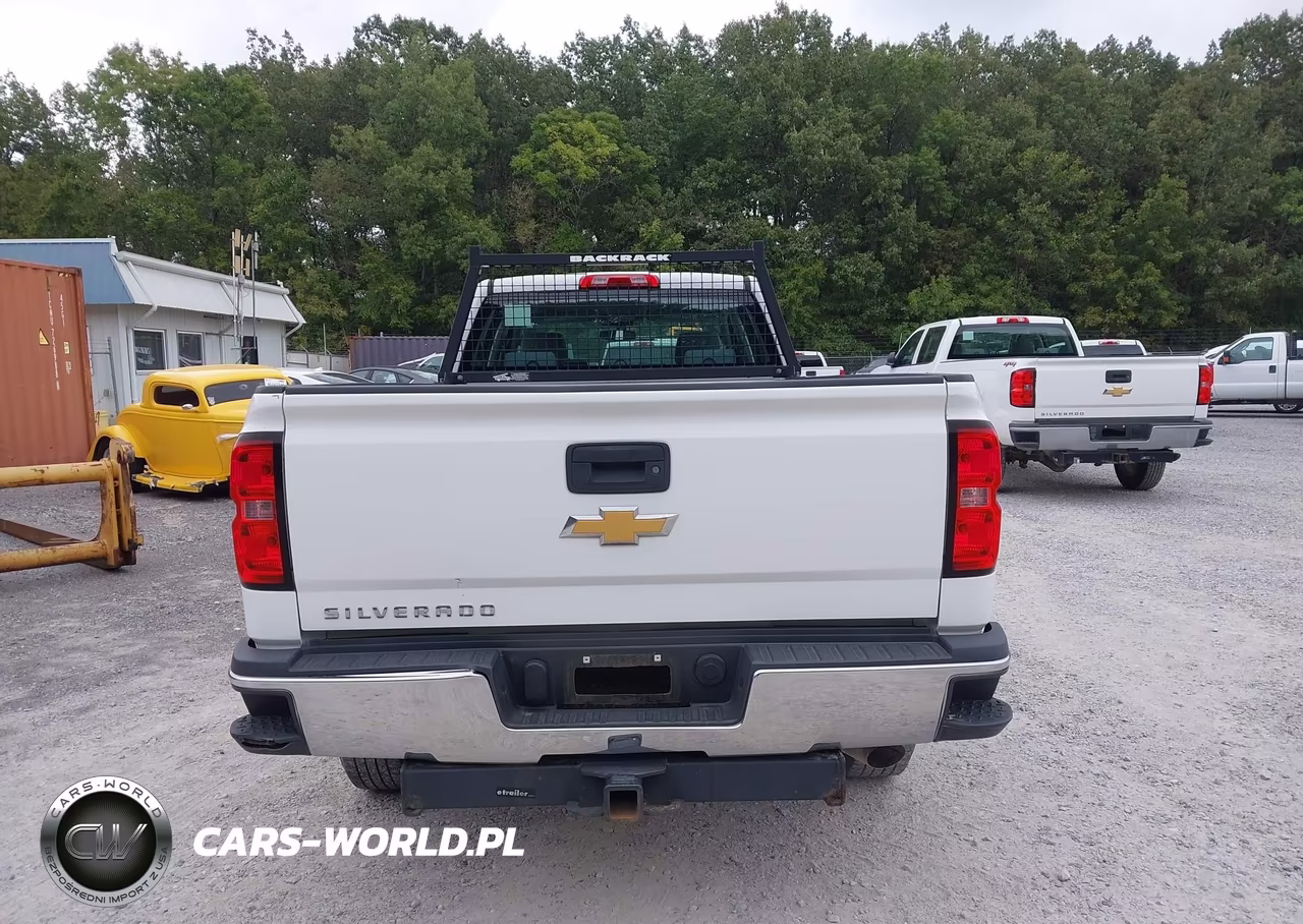 2016 Chevrolet Silverado 2500Hd Wt VIN:1GC1KUEG3GF194090 - 20