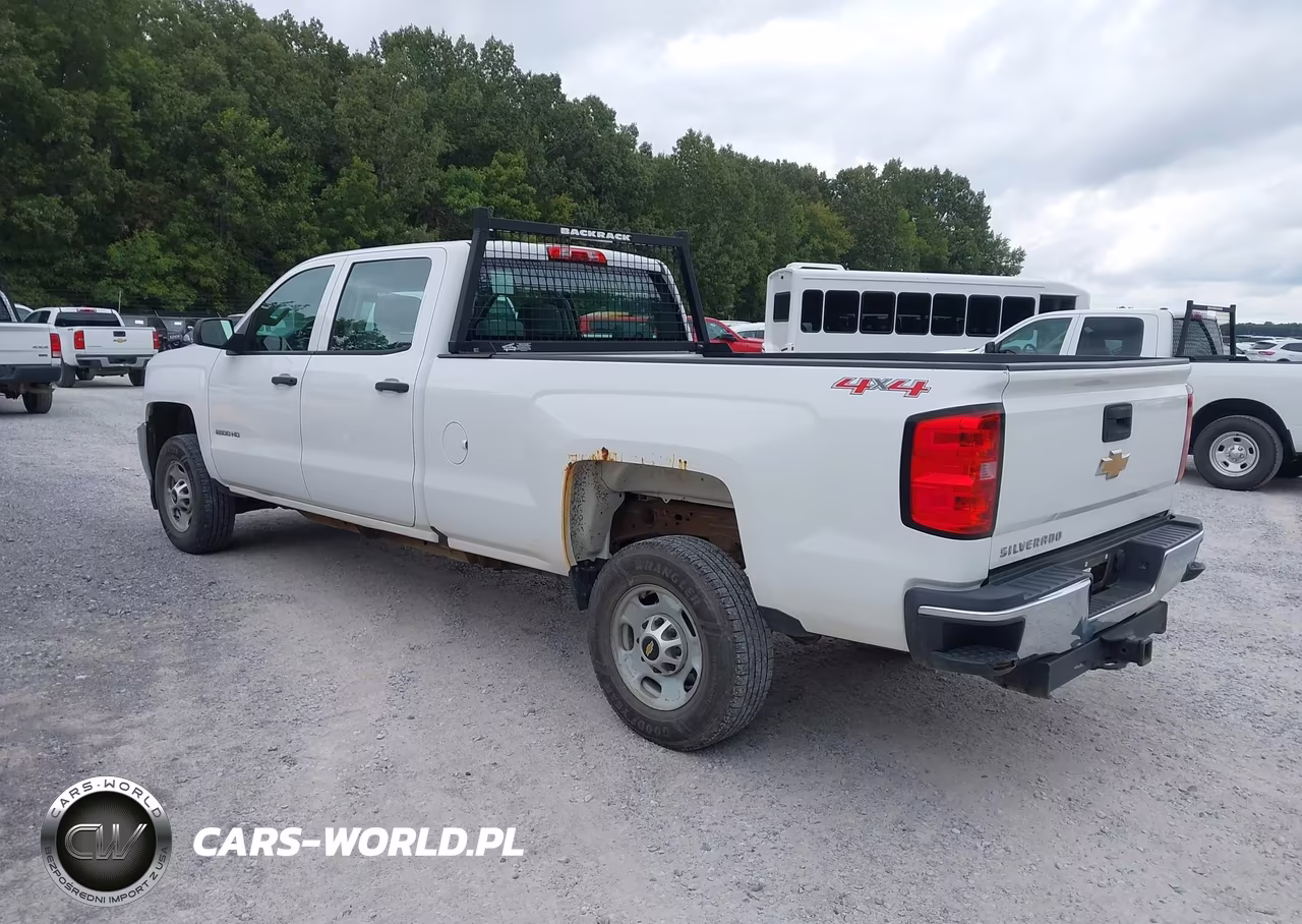 2016 Chevrolet Silverado 2500Hd Wt VIN:1GC1KUEG3GF194090 - 3