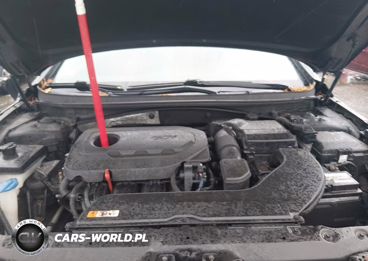 2017 Hyundai Sonata Sport VIN:5NPE34AF5HH463371 - 10