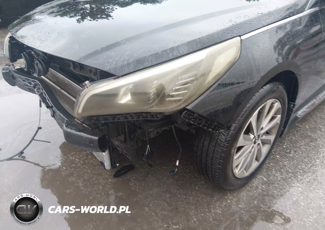 2017 Hyundai Sonata Sport VIN:5NPE34AF5HH463371 - 18