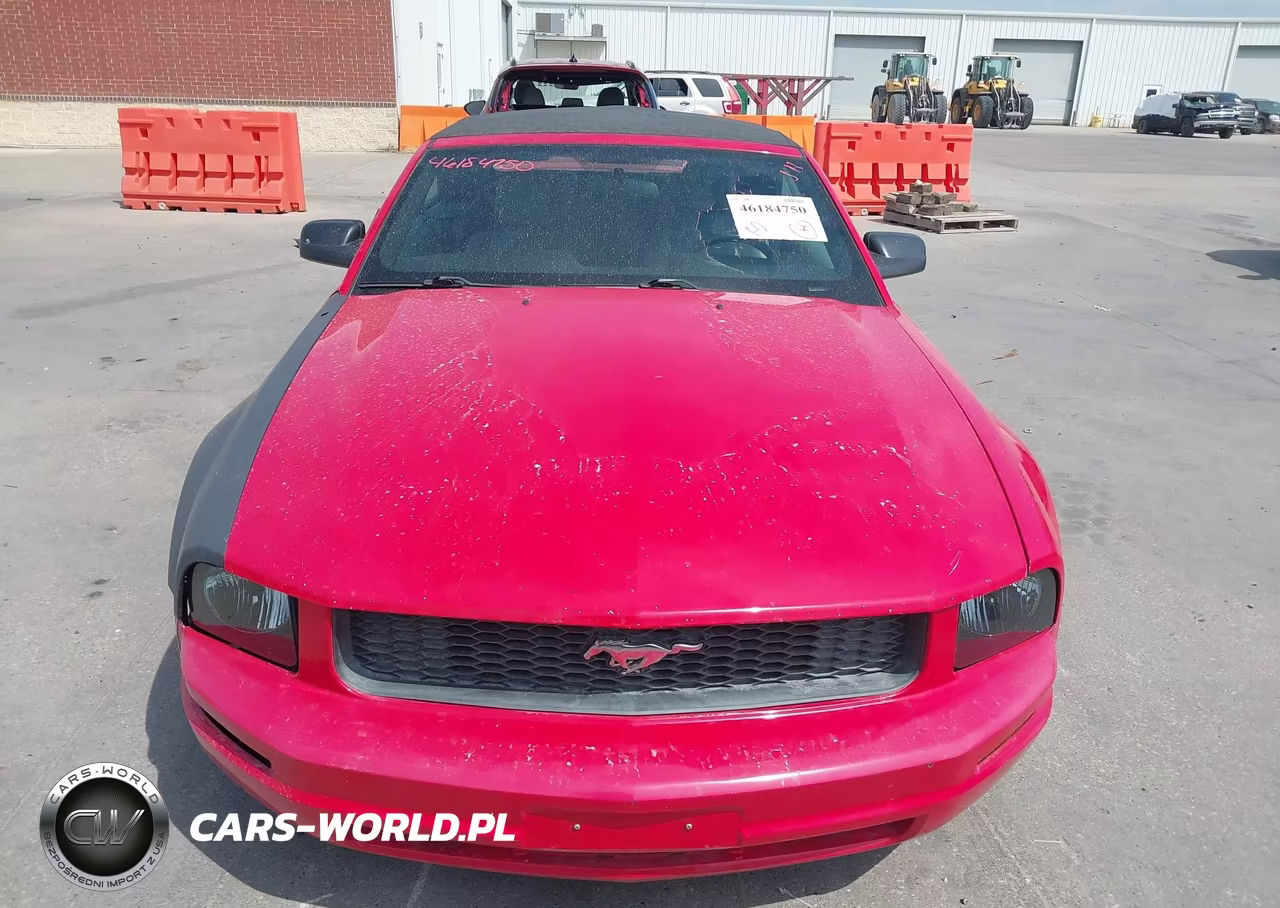 2007 Ford Mustang V6 Deluxe-V6 Premium VIN:1ZVFT84NX75201095 - 12