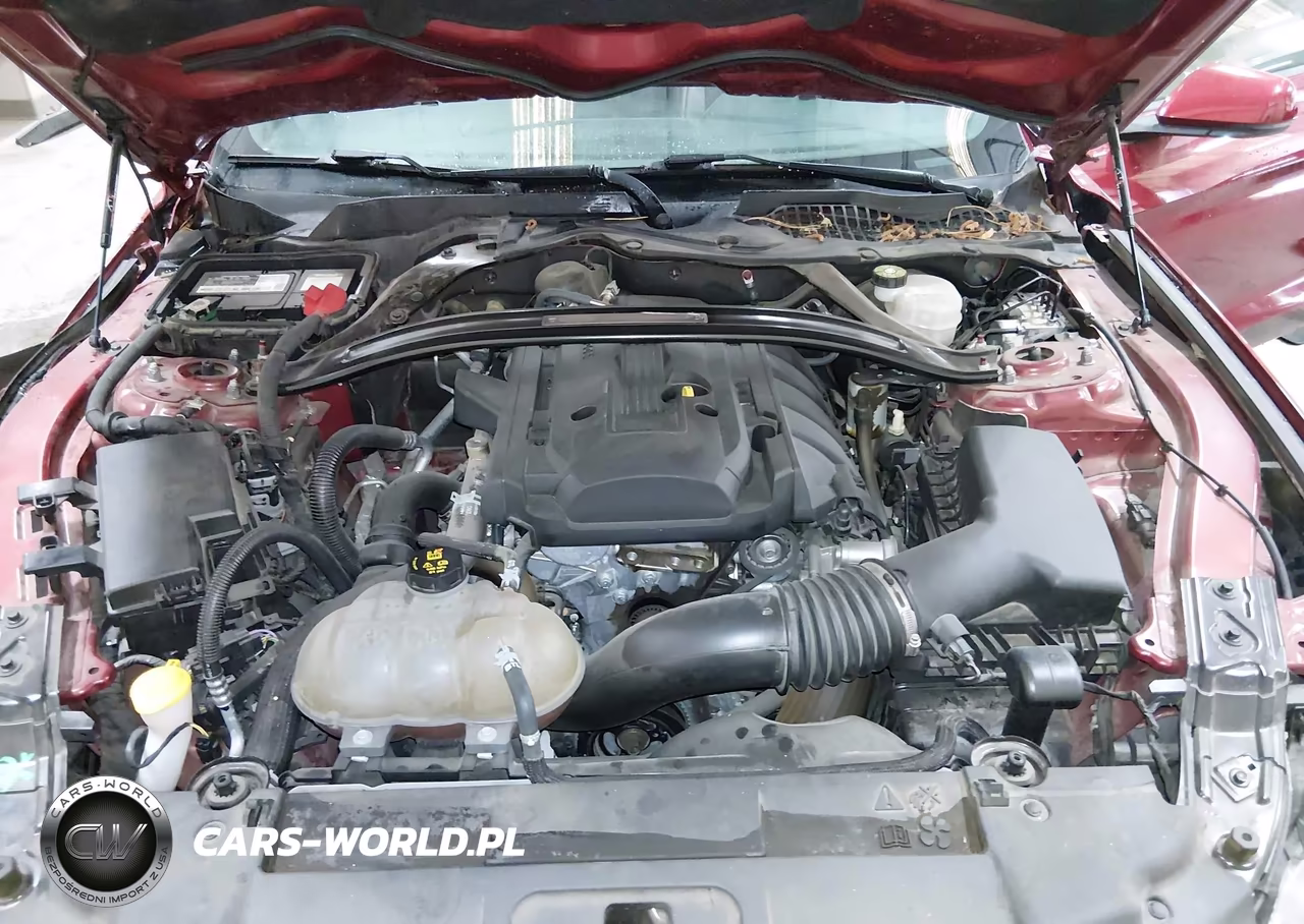 2019 Ford Mustang Ecoboost Premium VIN:1FATP8UH1K5187400 - 10
