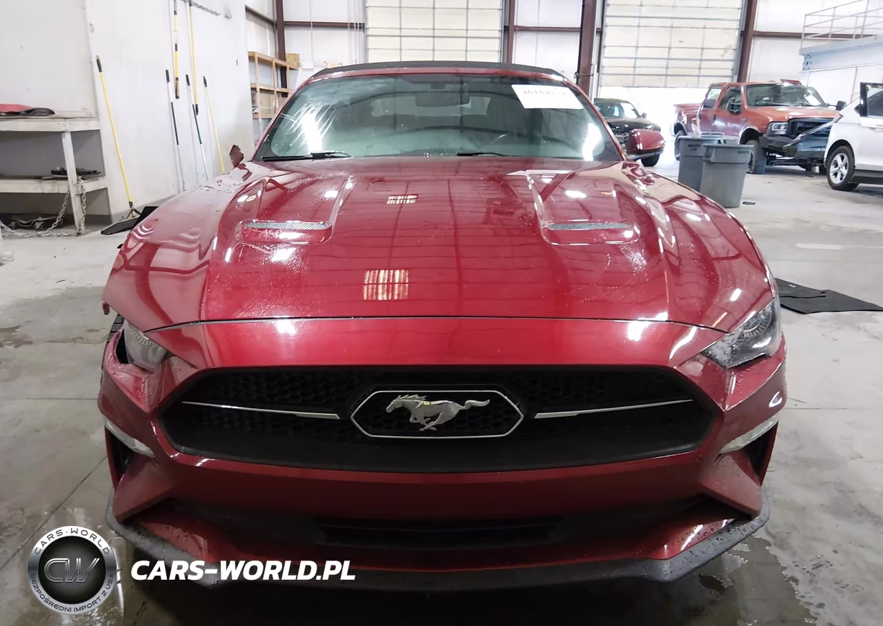 2019 Ford Mustang Ecoboost Premium VIN:1FATP8UH1K5187400 - 13
