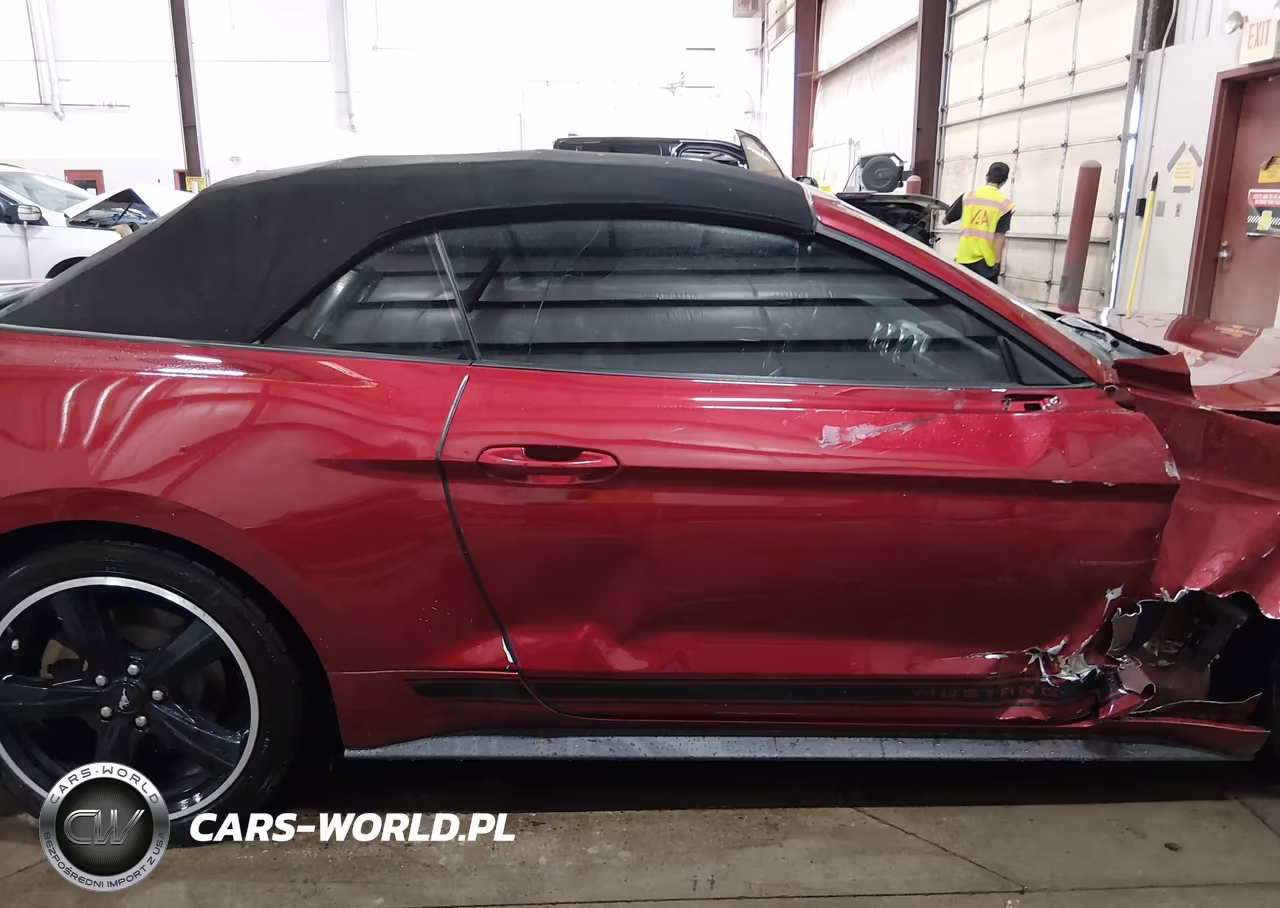 2019 Ford Mustang Ecoboost Premium VIN:1FATP8UH1K5187400 - 14