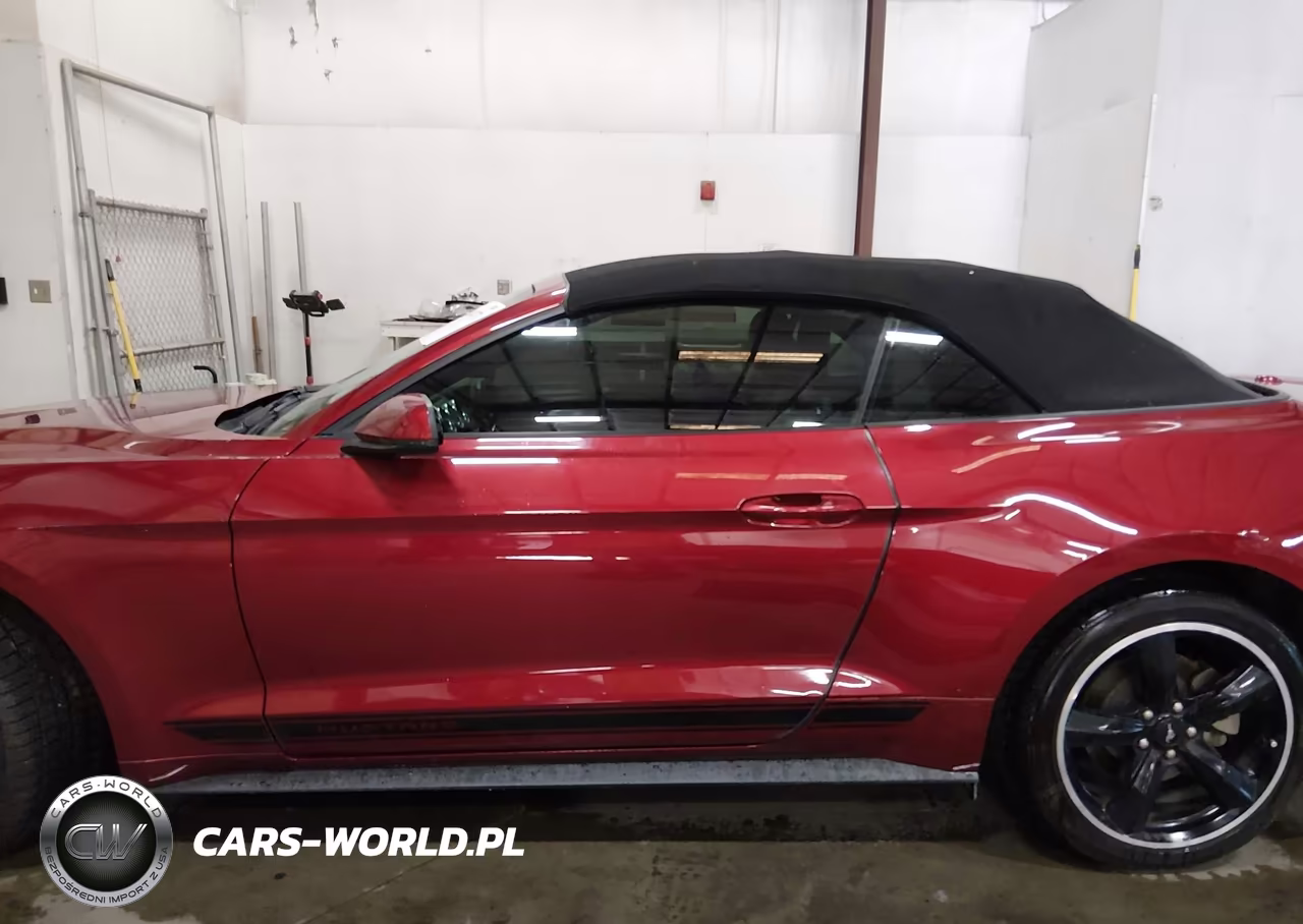 2019 Ford Mustang Ecoboost Premium VIN:1FATP8UH1K5187400 - 15