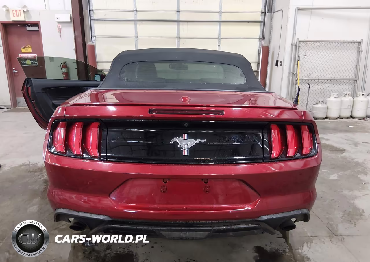 2019 Ford Mustang Ecoboost Premium VIN:1FATP8UH1K5187400 - 17