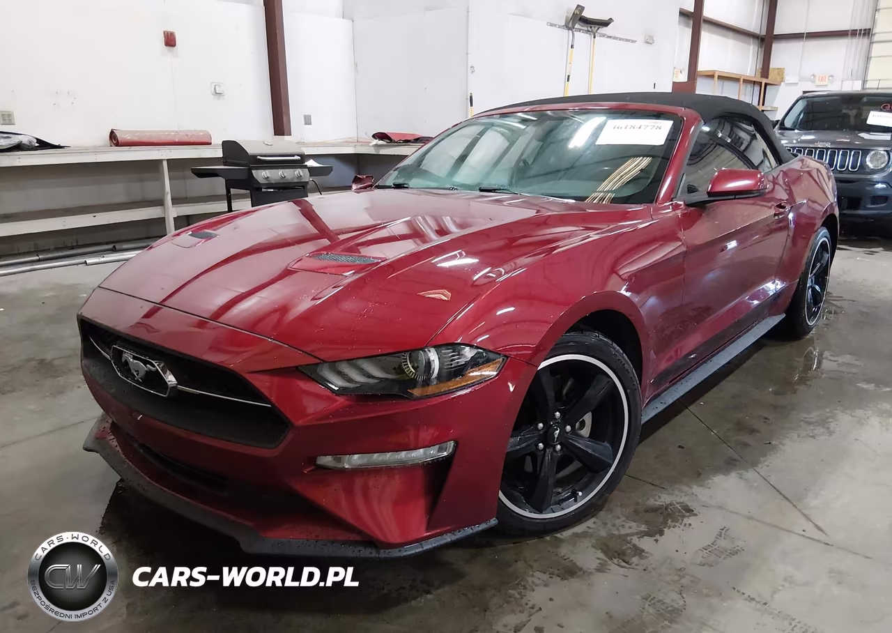 2019 Ford Mustang Ecoboost Premium VIN:1FATP8UH1K5187400 - 2