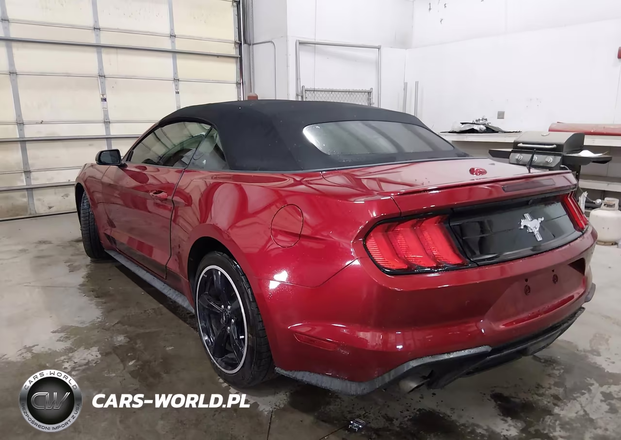 2019 Ford Mustang Ecoboost Premium VIN:1FATP8UH1K5187400 - 3