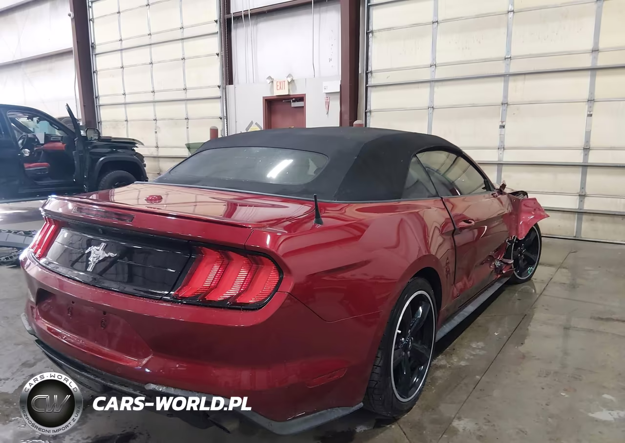 2019 Ford Mustang Ecoboost Premium VIN:1FATP8UH1K5187400 - 4