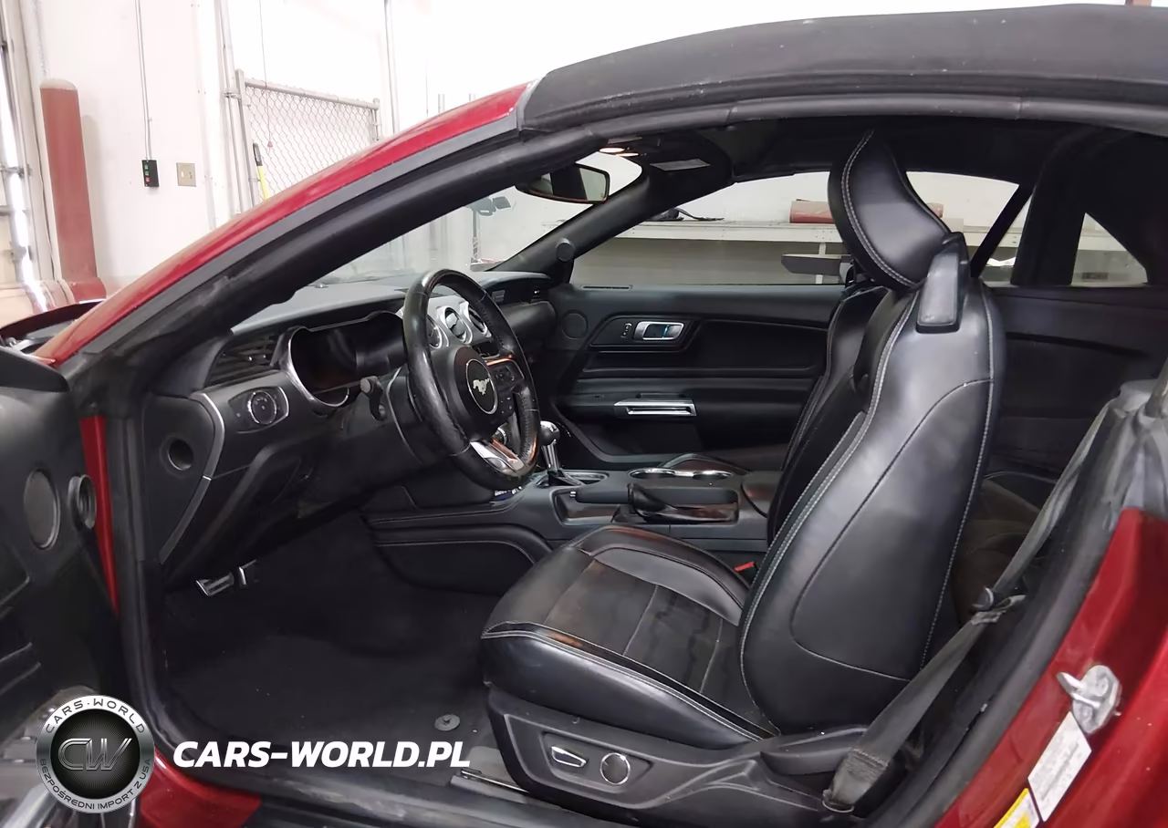 2019 Ford Mustang Ecoboost Premium VIN:1FATP8UH1K5187400 - 5