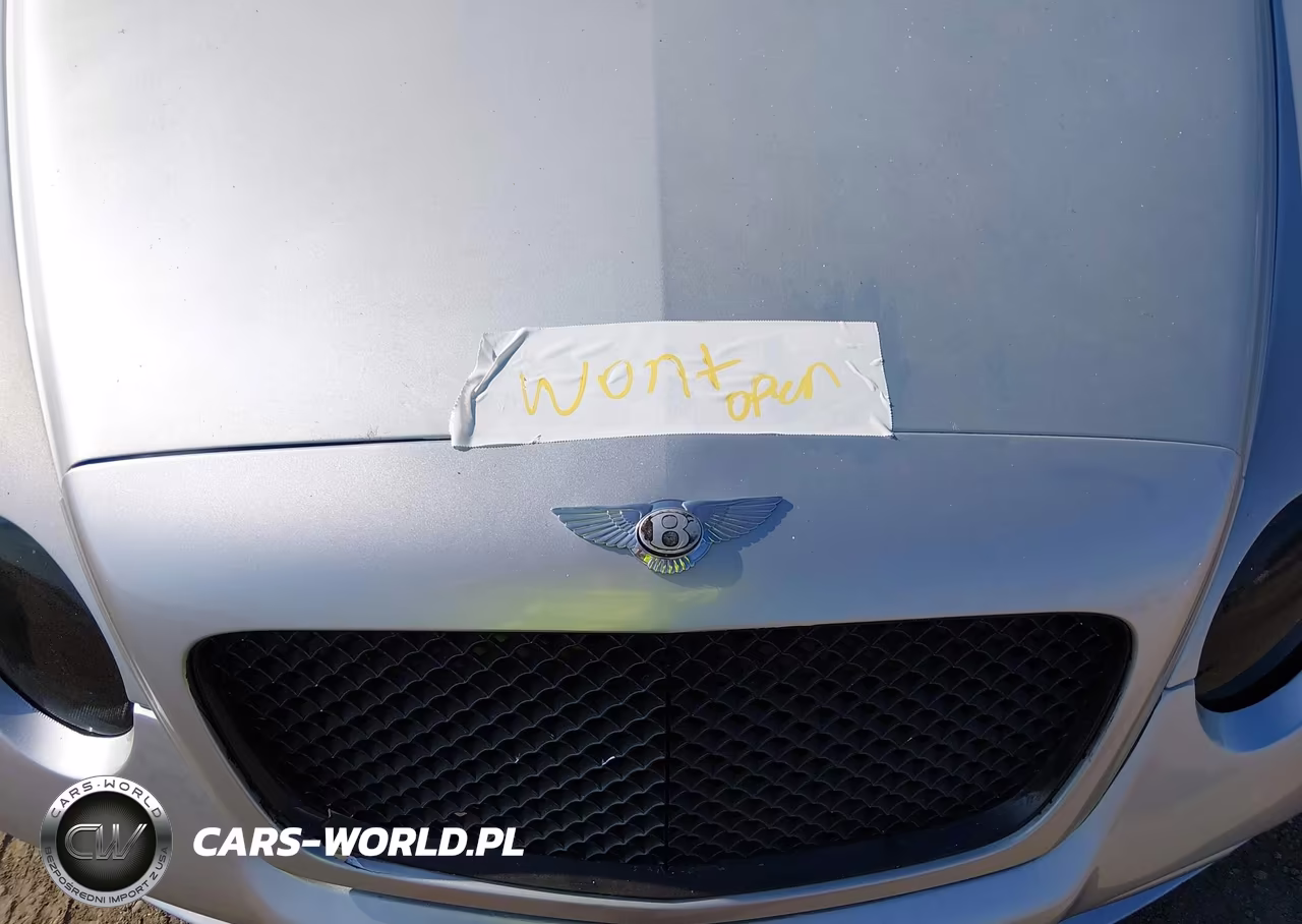 2005 Bentley Continental Gt VIN:SCBCR63W85C030135 - 10