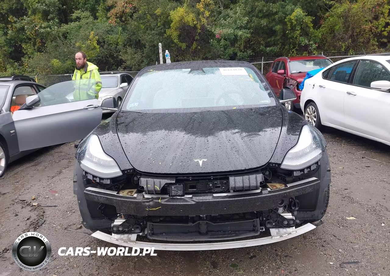 2019 Tesla Model 3 Long Range-Performance VIN:5YJ3E1EB4KF391513 - 11