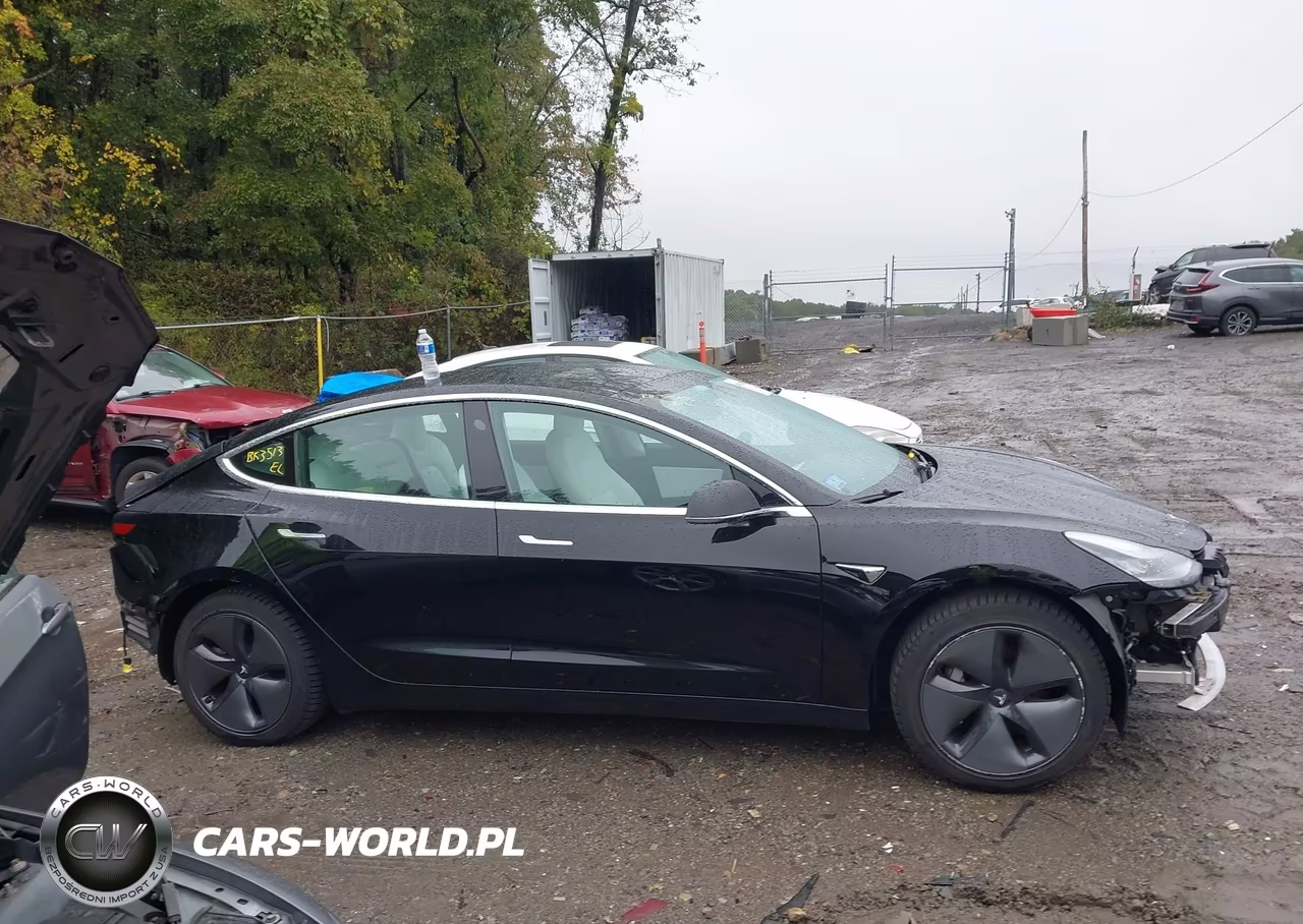 2019 Tesla Model 3 Long Range-Performance VIN:5YJ3E1EB4KF391513 - 12