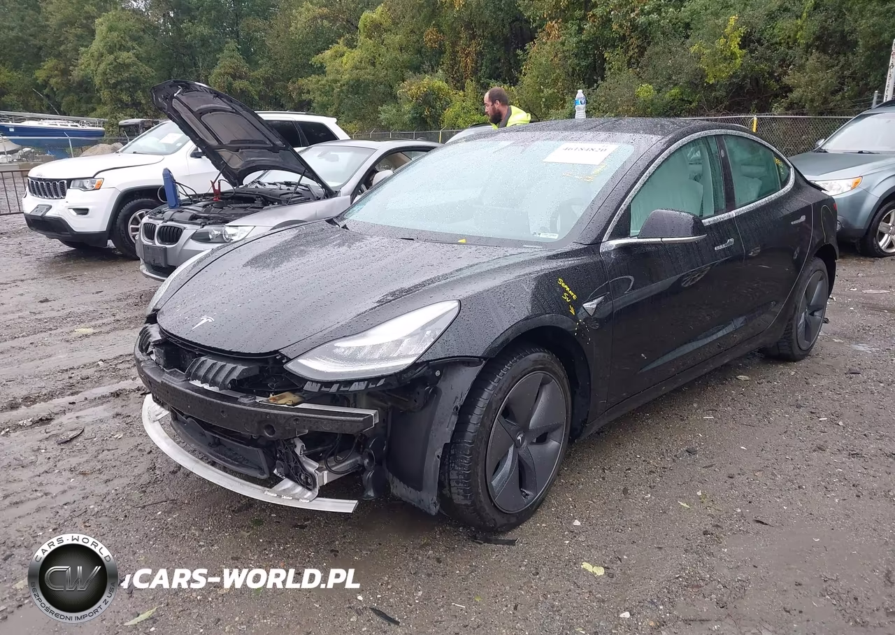 2019 Tesla Model 3 Long Range-Performance VIN:5YJ3E1EB4KF391513 - 2