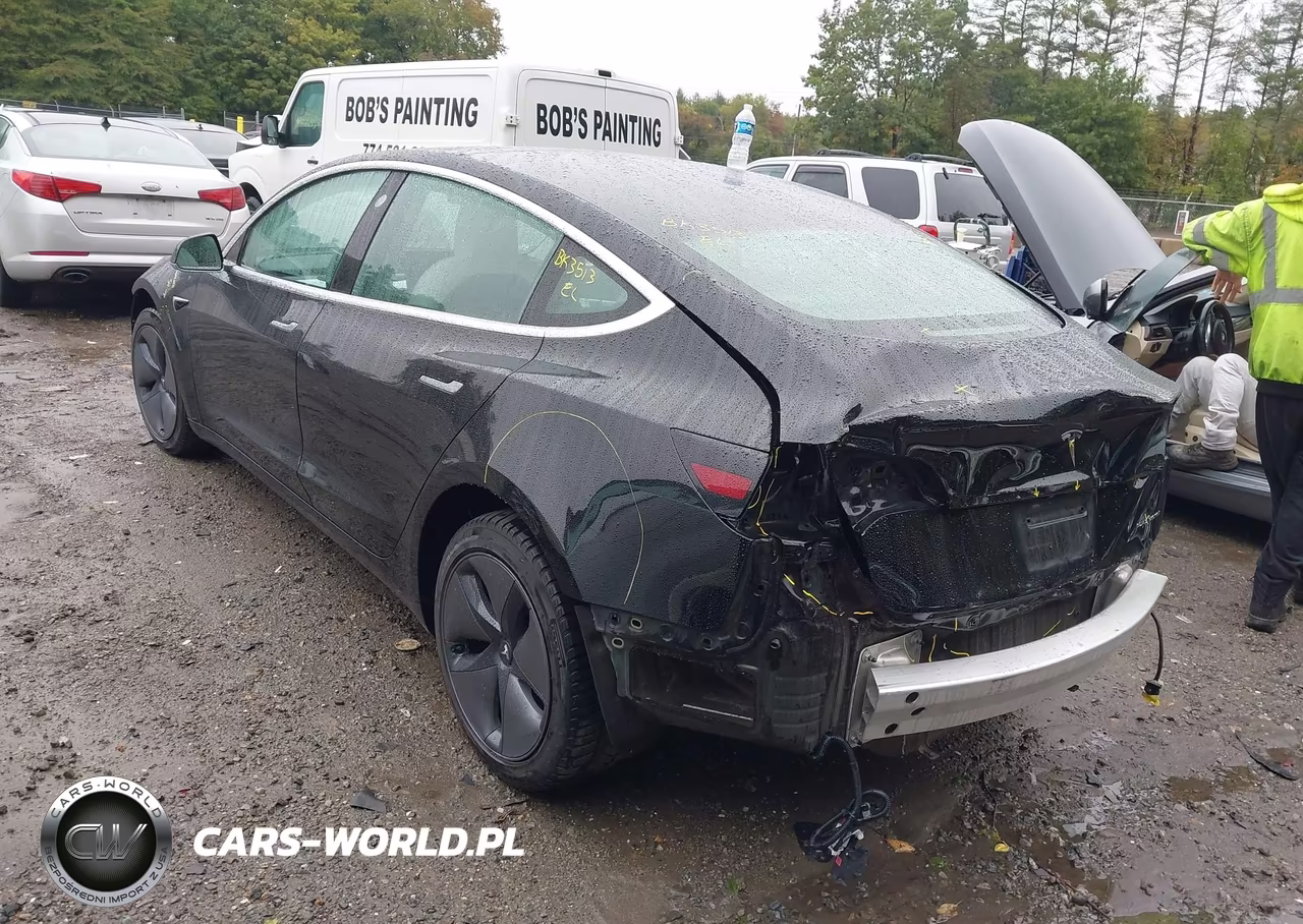 2019 Tesla Model 3 Long Range-Performance VIN:5YJ3E1EB4KF391513 - 3