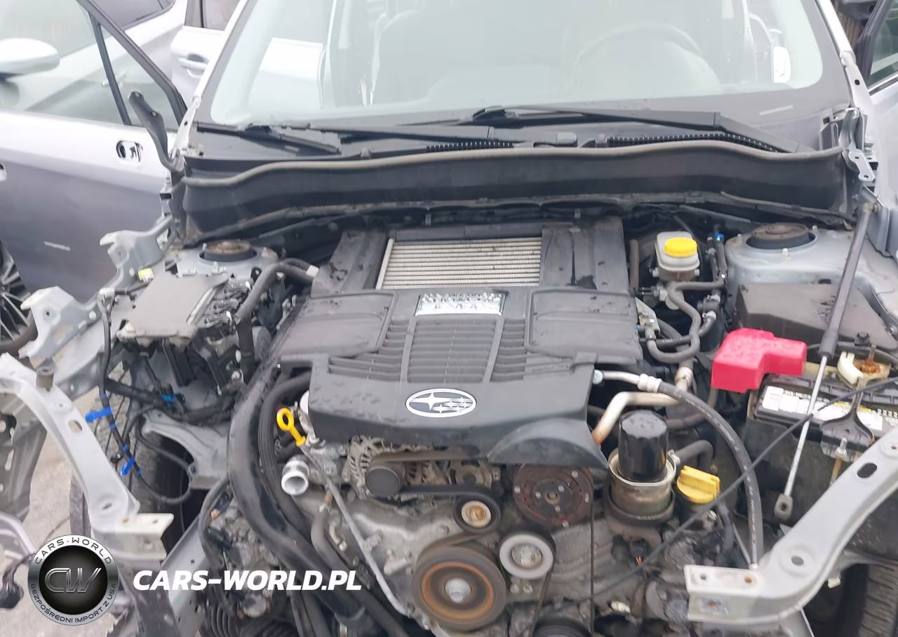 2017 Subaru Forester 2.0Xt Touring VIN:JF2SJGWC2HH529335 - 10