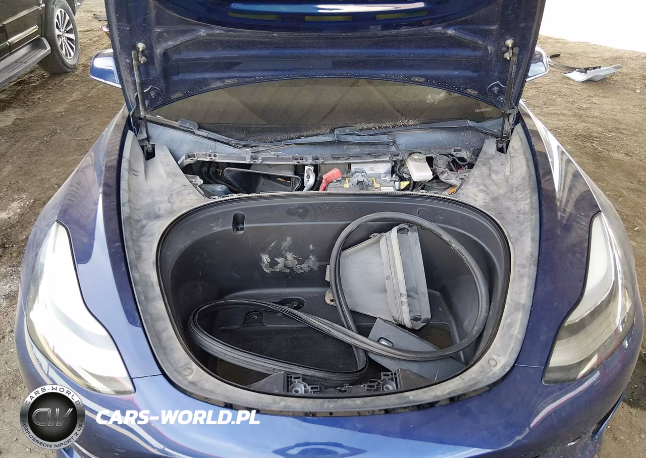 2019 Tesla Model 3 Long Range-Mid Range-Standard Range-Standard Range Plus VIN:5YJ3E1EAXKF357700 - 10