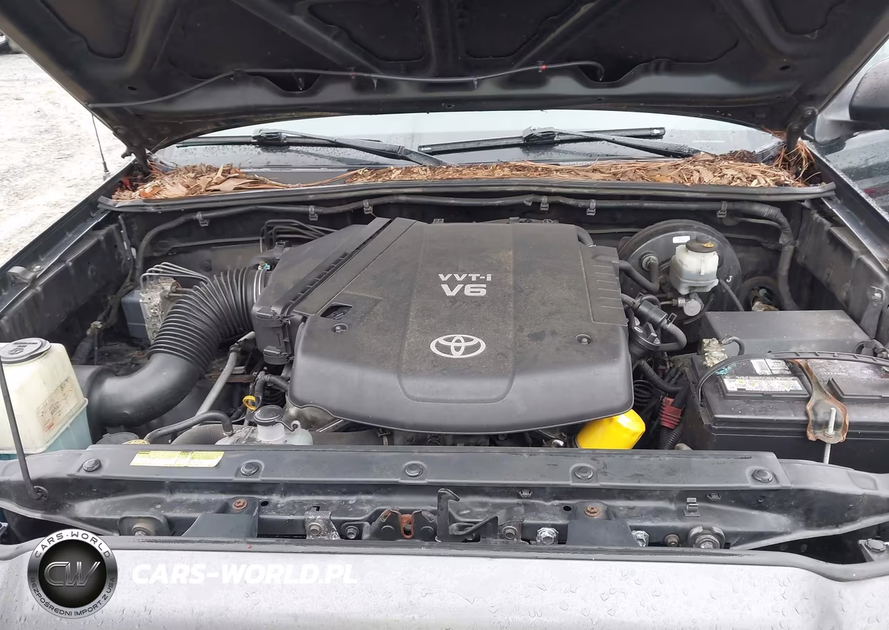 2009 Toyota Tacoma Base V6 VIN:5TEUU42N19Z636462 - 10