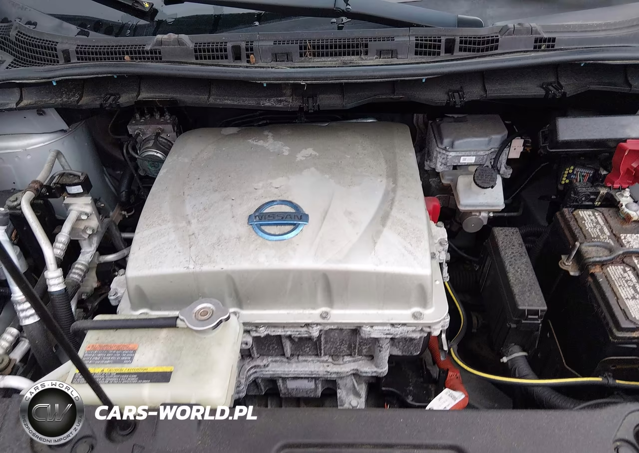 2015 Nissan Leaf Sv VIN:1N4AZ0CP2FC305189 - 10