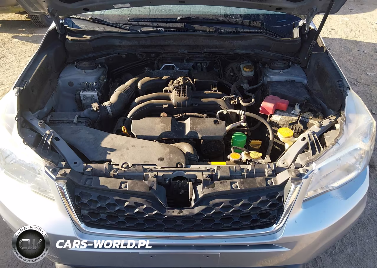 2015 Subaru Forester 2.5I VIN:JF2SJABC9FH816185 - 10