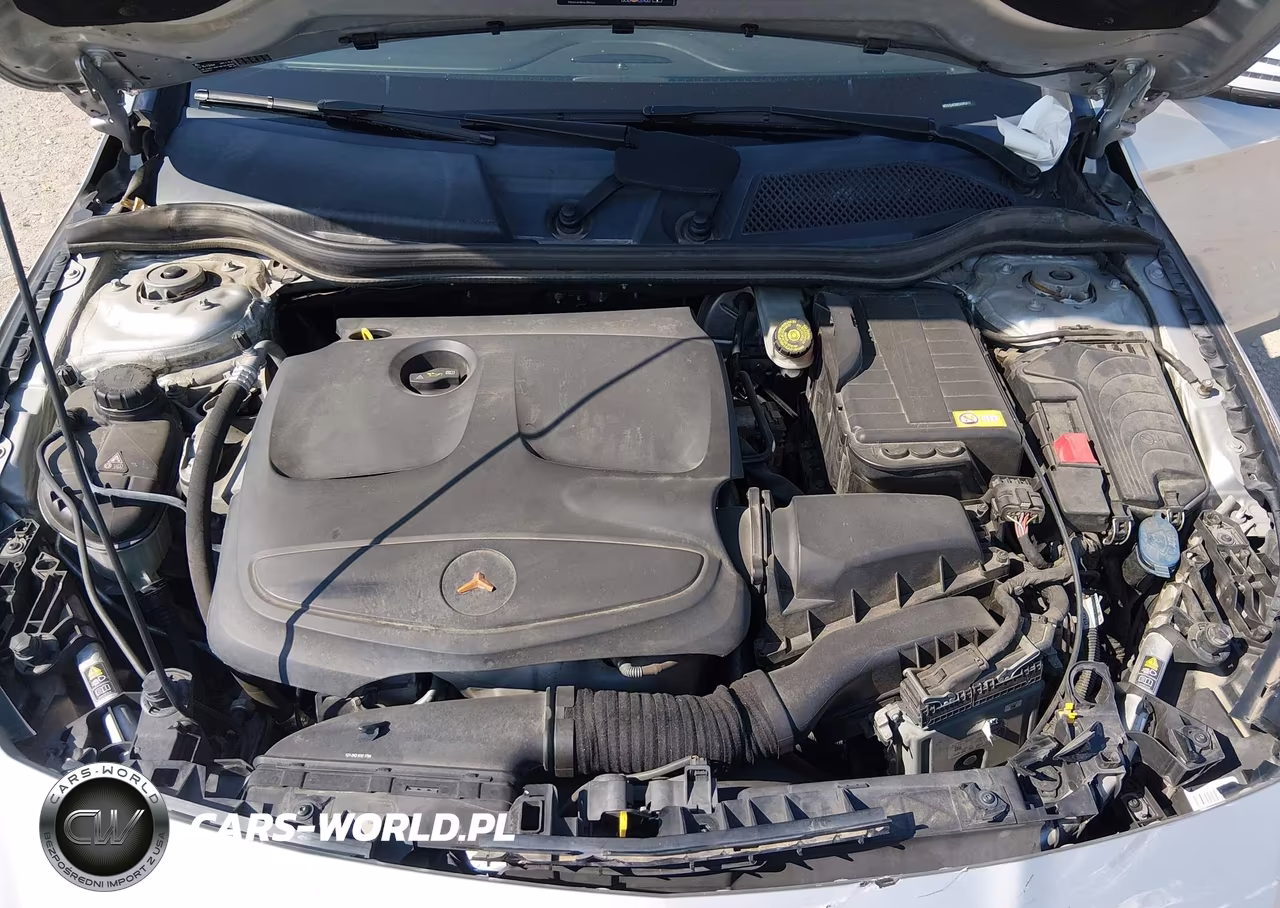 2014 Mercedes-Benz Cla 250 VIN:WDDSJ4EB8EN090411 - 10
