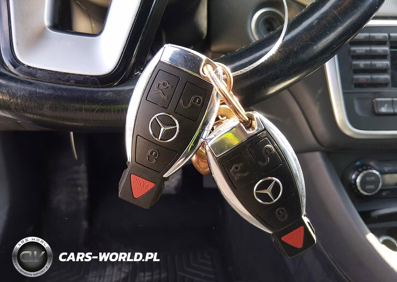 2014 Mercedes-Benz Cla 250 VIN:WDDSJ4EB8EN090411 - 11