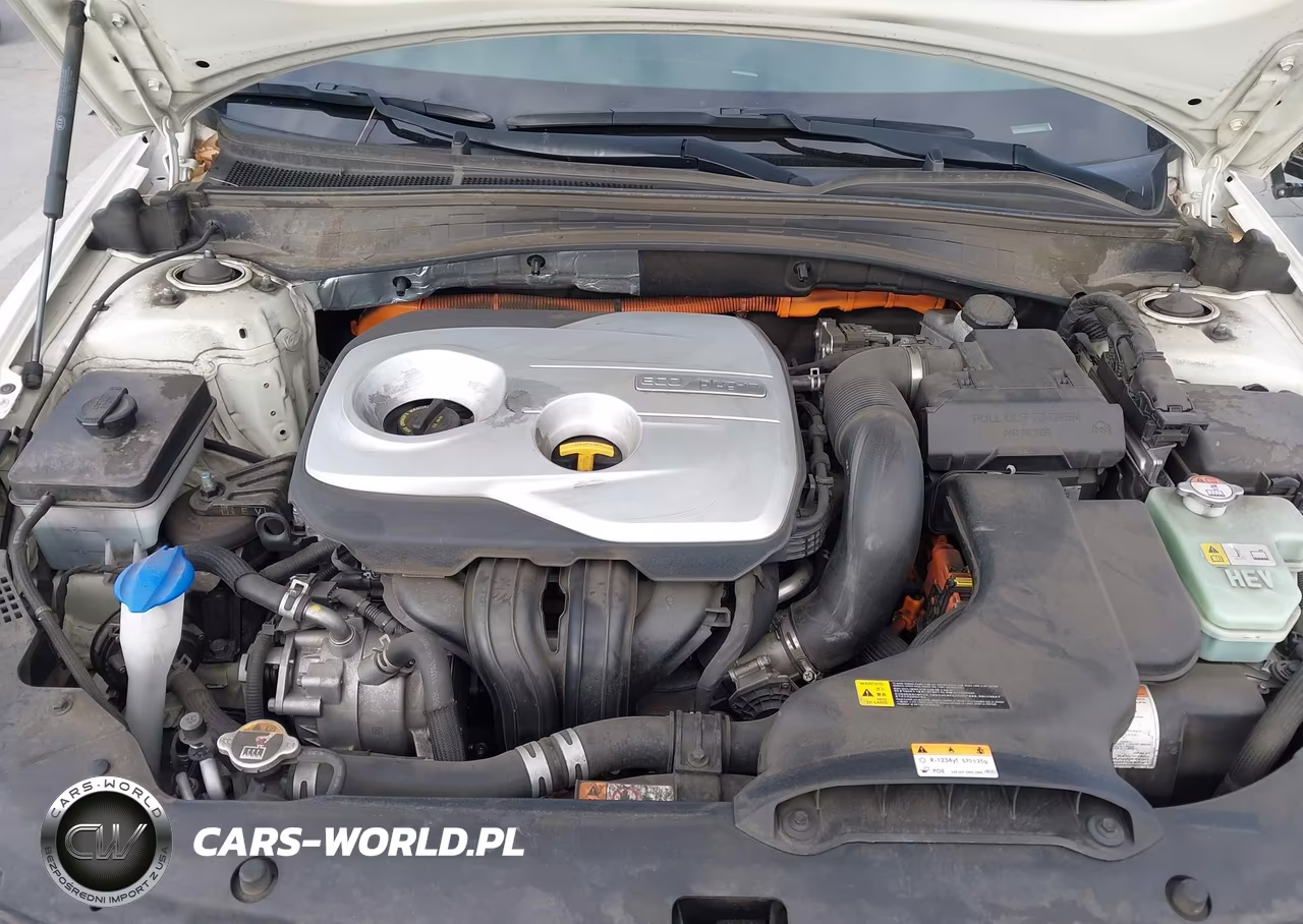 2020 Kia Optima Plug-In Hybrid Ex VIN:KNAGV4LD8L5036917 - 10
