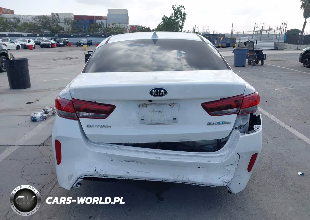 2020 Kia Optima Plug-In Hybrid Ex VIN:KNAGV4LD8L5036917 - 17