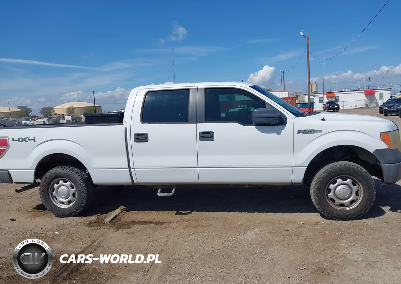 2010 Ford F-150 Xl-Xlt VIN:1FTFW1E82AFC35253 - 12