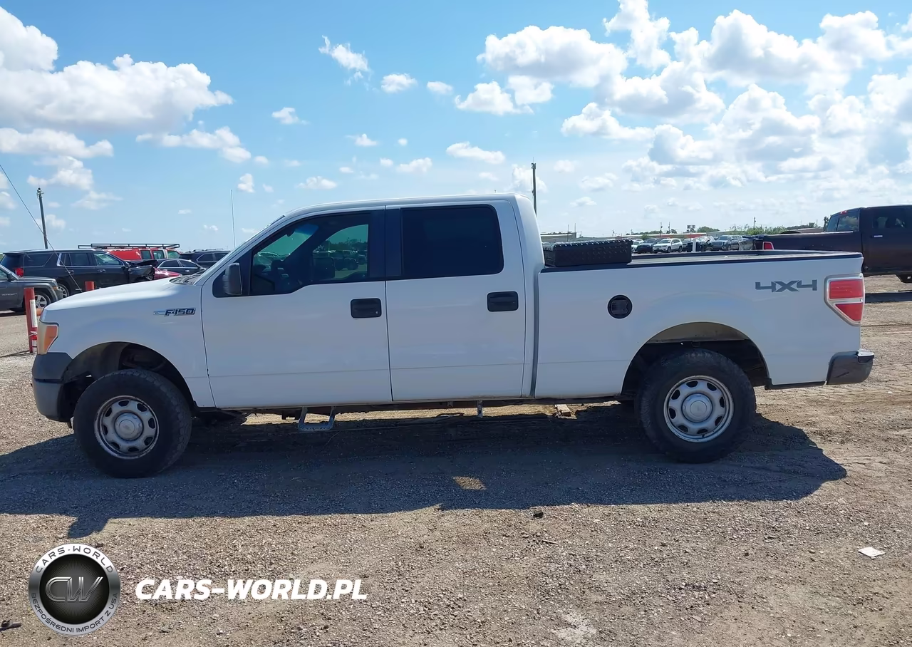 2010 Ford F-150 Xl-Xlt VIN:1FTFW1E82AFC35253 - 13