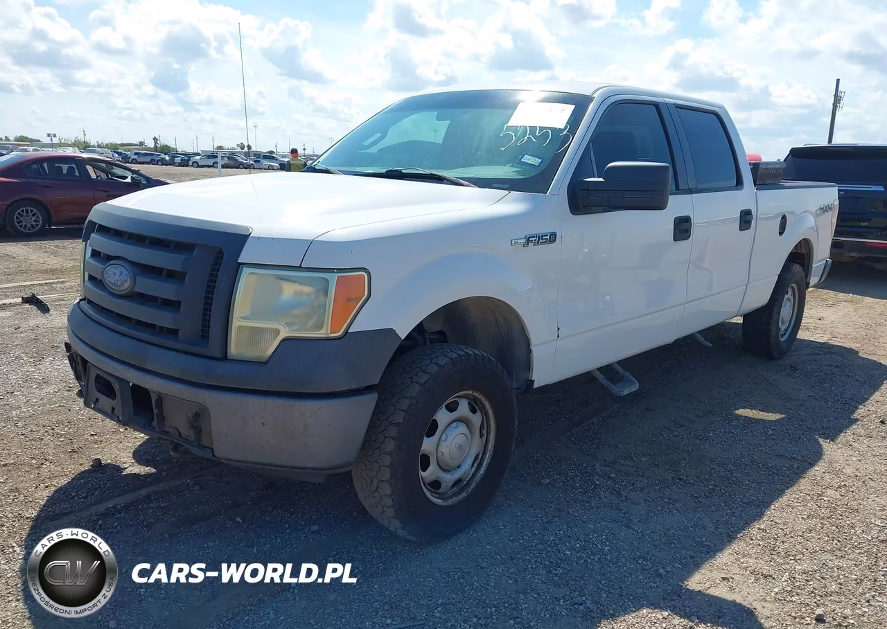 2010 Ford F-150 Xl-Xlt VIN:1FTFW1E82AFC35253 - 2