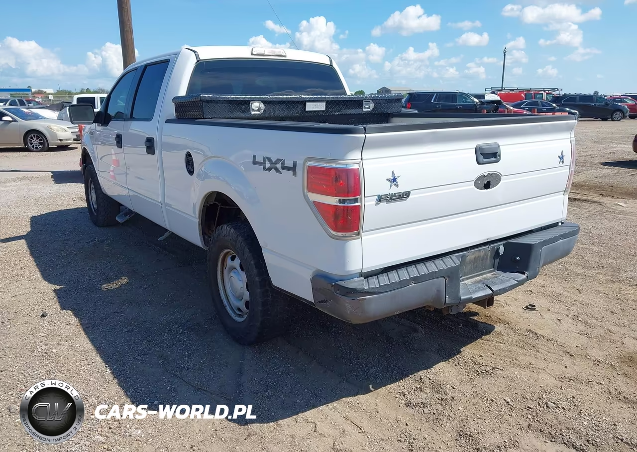 2010 Ford F-150 Xl-Xlt VIN:1FTFW1E82AFC35253 - 3