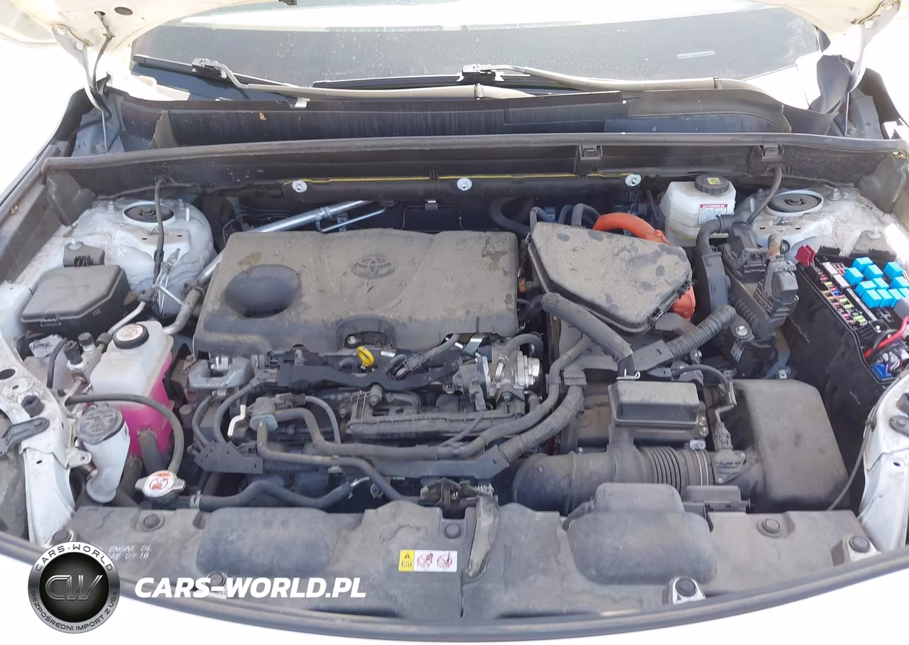 2024 Toyota Venza Xle VIN:JTEAAAAH5RJ178985 - 10