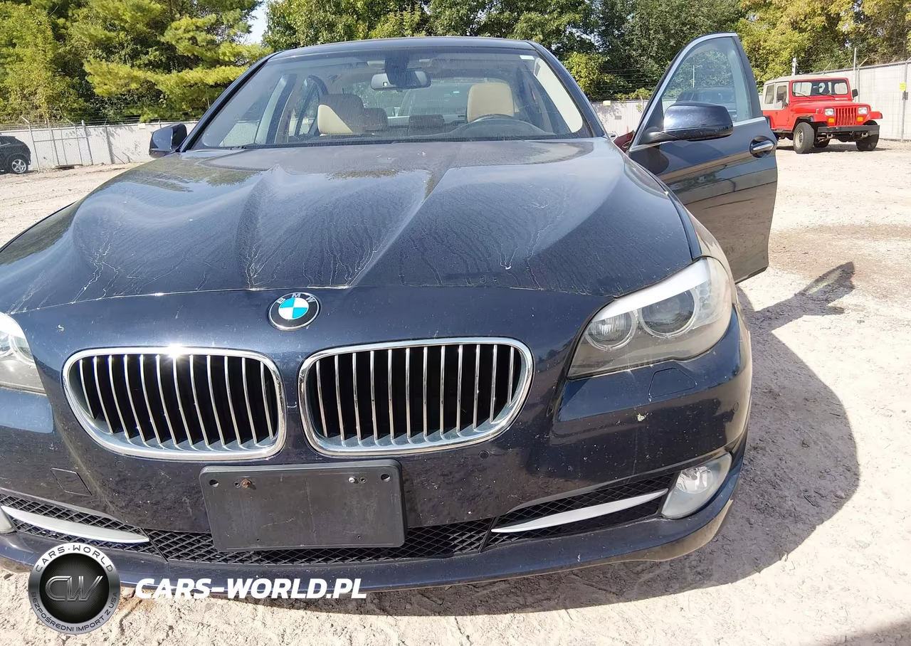 2013 BMW 528I xDrive VIN:WBAXH5C53DD110189 - 6