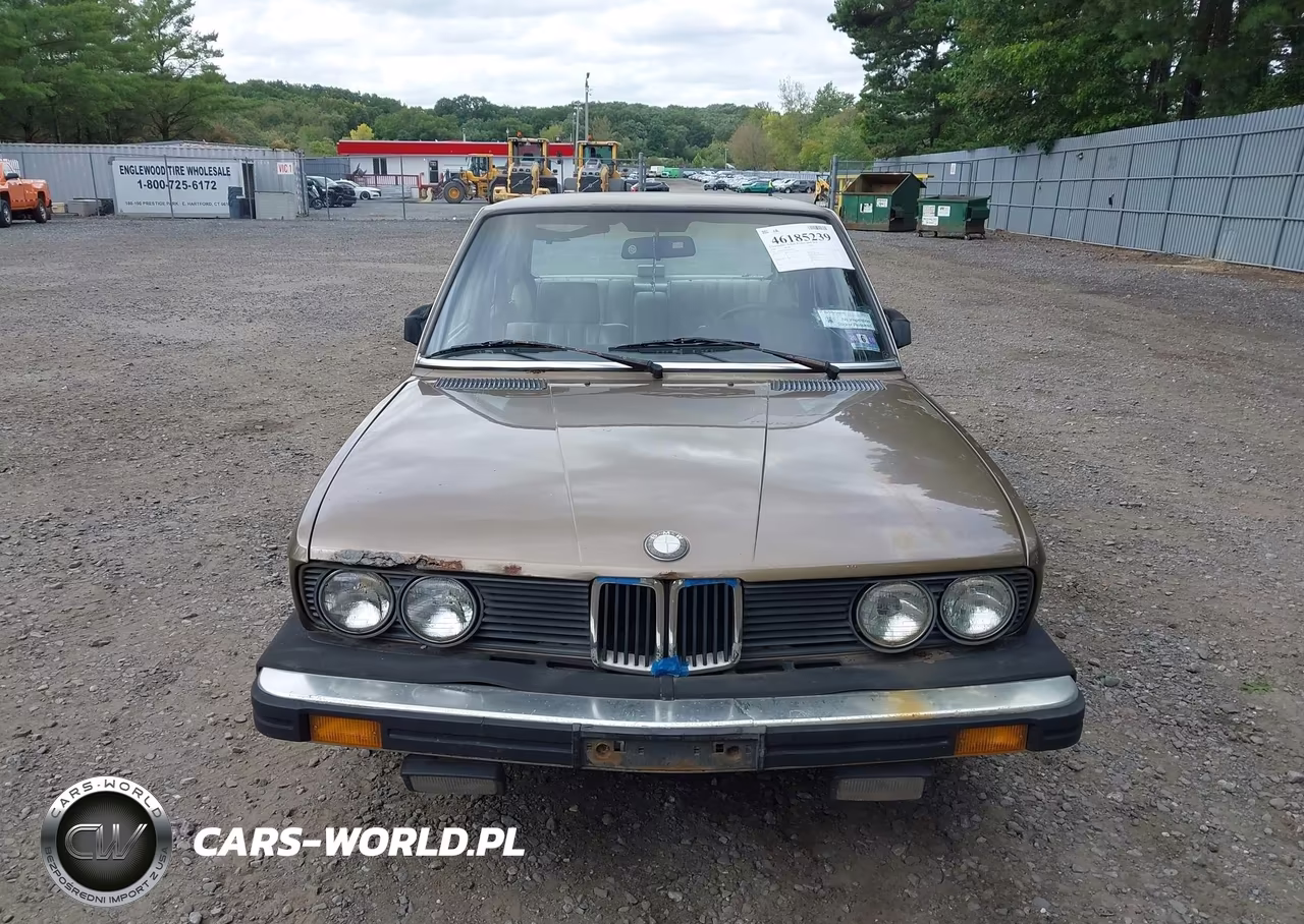 1986 BMW 528 E Automatic VIN:WBADK8307G9705323 - 12